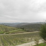 DSCN1502